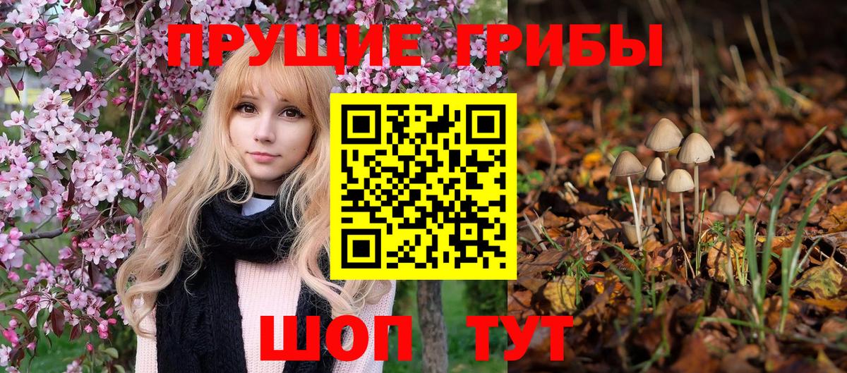 Галлюциногенные грибы мухоморы  Вход с VPN  Кольчугино  Галлюциногенные грибы MAGIC MUSHROOMS 