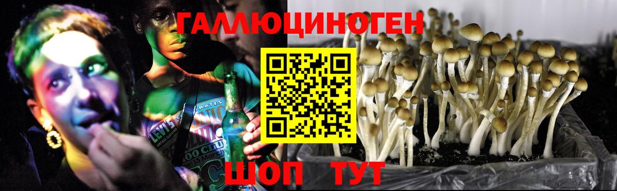 Галлюциногенные грибы ЛСД Кольчугино
